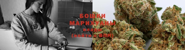 прущие грибы Гусиноозёрск