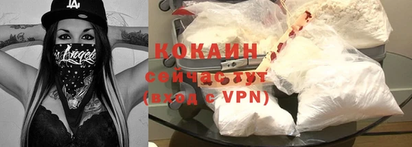 прущие грибы Гусиноозёрск