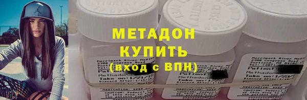 прущие грибы Гусиноозёрск