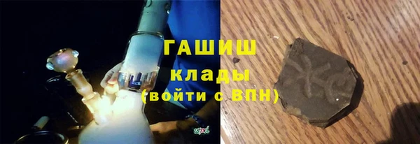 прущие грибы Гусиноозёрск