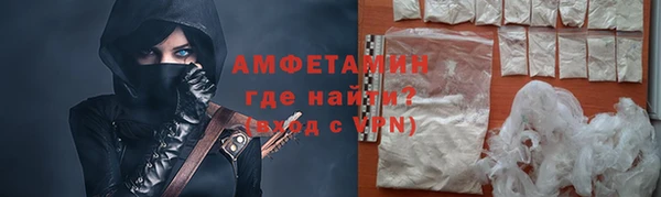 прущие грибы Гусиноозёрск