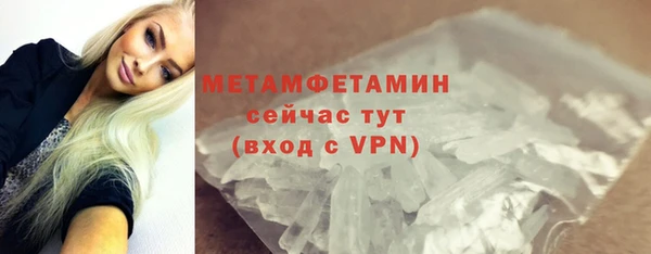 прущие грибы Гусиноозёрск