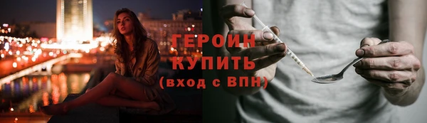 прущие грибы Гусиноозёрск