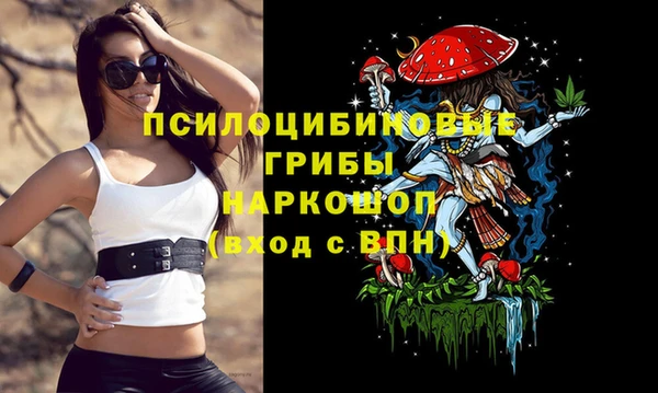 прущие грибы Гусиноозёрск