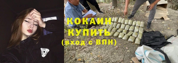 прущие грибы Гусиноозёрск