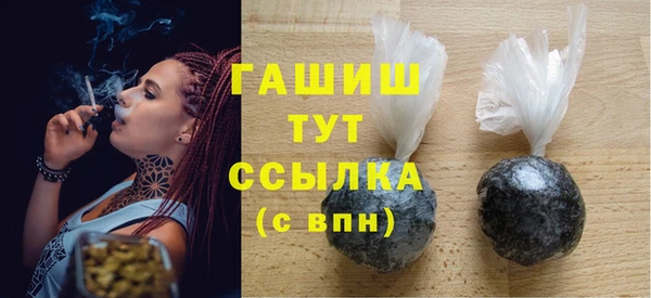 прущие грибы Гусиноозёрск