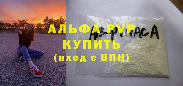прущие грибы Гусиноозёрск