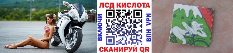 Купить где  Ликино-Дулёво  Наркотические марки 1500мкг 