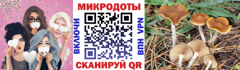 Купить  Ликино-Дулёво  Псилоцибиновые грибы Magic Shrooms 